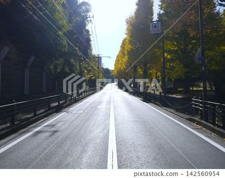 保土谷公園,銀杏山 保土谷公園,銀杏山 142560954