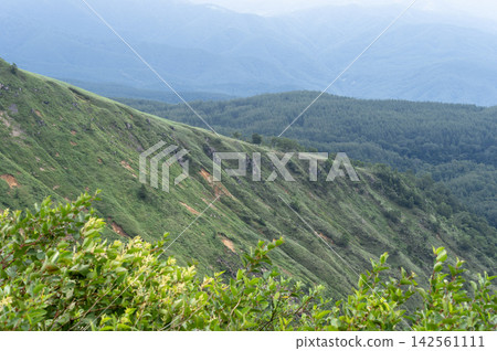 從292號國道觀景台上可以欣賞到山景，夏季綠意盎然。 142561111