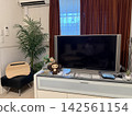 A calm living room with houseplants and a television. 142561154