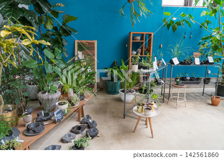 Hachijojima Botanical & Cafe DRACO Hachijojima Botanical & Cafe DRACO 142561860