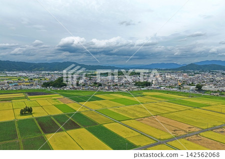 Aerial photograph capturing rice paddies, residential areas, and mountain ranges in Iga City, Mie Prefecture. Aerial photograph capturing rice paddies, residential areas, and mountain ranges in Iga City, Mie Prefecture. 142562068
