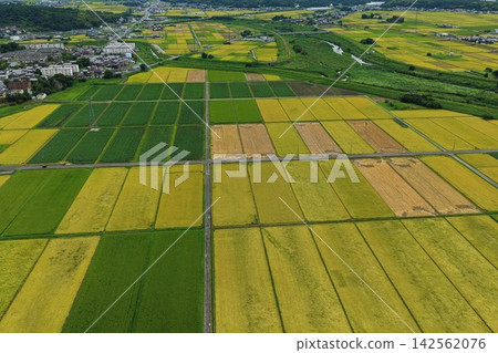 Aerial photograph capturing rice paddies and settlements in Iga City, Mie Prefecture. Aerial photograph capturing rice paddies and settlements in Iga City, Mie Prefecture. 142562076