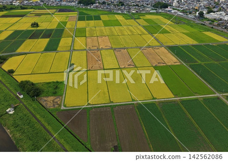 空拍照片展現了三重縣伊賀市的稻田和鄉村地區。 空拍照片展現了三重縣伊賀市的稻田和鄉村地區。 142562086