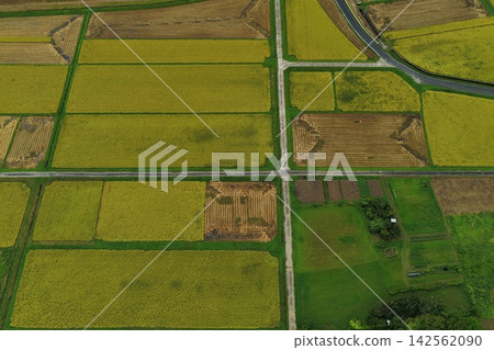 Aerial photographs capturing rice paddies and farmland in Iga City, Mie Prefecture. Aerial photographs capturing rice paddies and farmland in Iga City, Mie Prefecture. 142562090