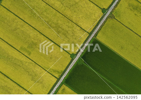 Aerial photograph capturing rice paddies and reorganized farmland in Iga City, Mie Prefecture. Aerial photograph capturing rice paddies and reorganized farmland in Iga City, Mie Prefecture. 142562095