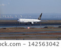 Star Alliance painted aircraft 142563042