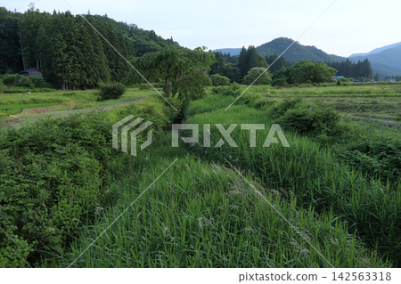 Scenery of the Shinkawa Firefly Village, a tributary of the Shinkawa River (Sendai City, Miyagi Prefecture) Scenery of the Shinkawa Firefly Village, a tributary of the Shinkawa River (Sendai City, Miyagi Prefecture) 142563318