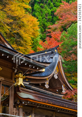 京都的秋天 / 貴船神社與秋葉 京都的秋天 / 貴船神社與秋葉 142563421