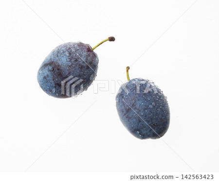 Prune white background Prune white background 142563423