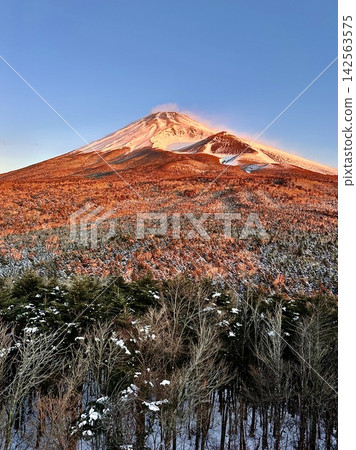 富士山的早晨色彩 富士山的早晨色彩 142563575