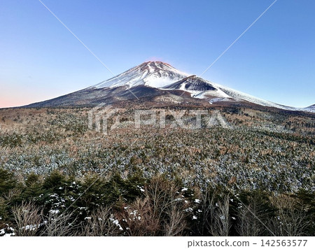富士山開始沐浴朝陽 富士山開始沐浴朝陽 142563577
