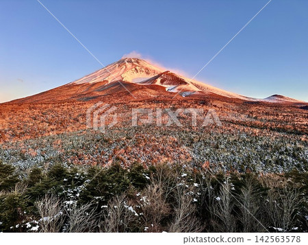 富士山染上清晨的色彩 富士山染上清晨的色彩 142563578