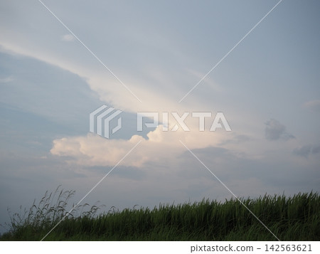 美妙的日落風景 美妙的日落風景 142563621