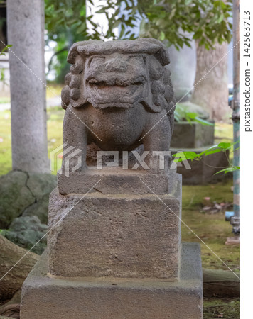歷史悠久的神社裡的守護獅犬 歷史悠久的神社裡的守護獅犬 142563713