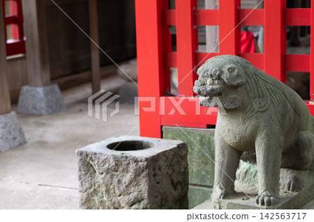 歷史悠久的神社的守護獅犬 歷史悠久的神社的守護獅犬 142563717