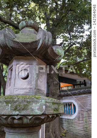 神社裡長滿青苔的石燈籠 神社裡長滿青苔的石燈籠 142564048