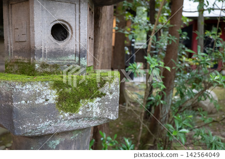 神社裡長滿青苔的石燈籠 神社裡長滿青苔的石燈籠 142564049