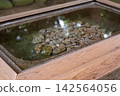 淨水池的水面波光粼粼。 142564056