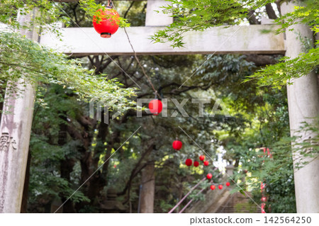 綠樹成蔭的神社裡,一座石砌鳥居和紅色燈籠映襯著 綠樹成蔭的神社裡,一座石砌鳥居和紅色燈籠映襯著 142564250