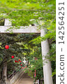 綠樹成蔭的神社裡，一座石砌鳥居和紅色燈籠映襯著 142564251