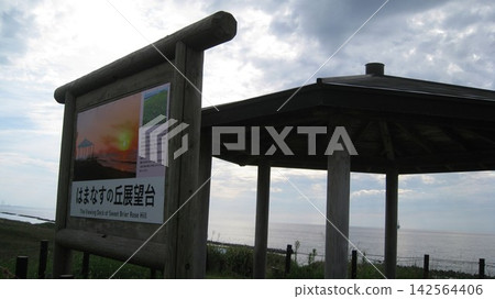 從濱海山展望台眺望海景 142564406