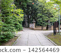 通往神社的鬱鬱蔥蔥的綠色通道 142564469