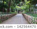 通往神社的鬱鬱蔥蔥的綠色通道 142564470