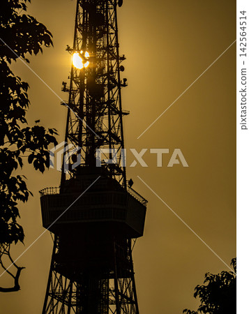 Tokyo Tower illuminated by the setting sun Tokyo Tower illuminated by the setting sun 142564514