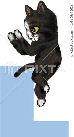 L. Cat enjoying yoga L. Cat enjoying yoga 142564602
