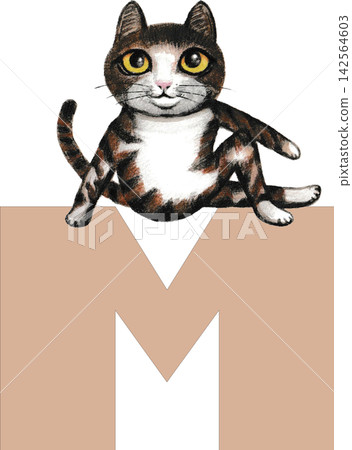 M. Cat enjoying yoga 142564603