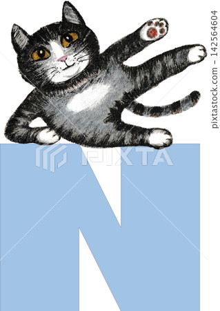 N. Cat enjoying yoga N. Cat enjoying yoga 142564604