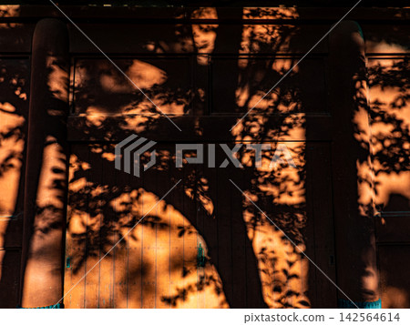 The silhouettes of trees bathed in the setting sun reflected on the red wall of Zojoji Temple. The silhouettes of trees bathed in the setting sun reflected on the red wall of Zojoji Temple. 142564614