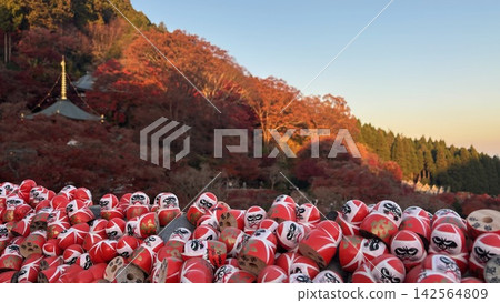 寺廟裡擺放著許多紅色的達摩不倒翁，寺廟本身也裝飾著秋天的落葉。 142564809