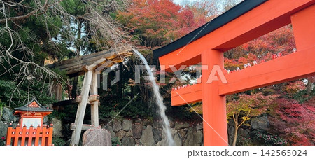 秋季寺廟和神社的景色,達摩不倒翁身上掛滿了秋葉,朱紅色的鳥居熠熠生輝,令人印象深刻。 秋季寺廟和神社的景色,達摩不倒翁身上掛滿了秋葉,朱紅色的鳥居熠熠生輝,令人印象深刻。 142565024