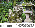 Komainu at the shrine 142565038