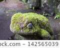 Moss-covered frog stone statue 142565039