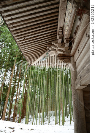 群馬縣水上町田永寺:這座古老寺廟的冬季景色,綠色的竹子在白雪皚皚的地面上格外醒目(豎向)。 群馬縣水上町田永寺:這座古老寺廟的冬季景色,綠色的竹子在白雪皚皚的地面上格外醒目(豎向)。 142565212