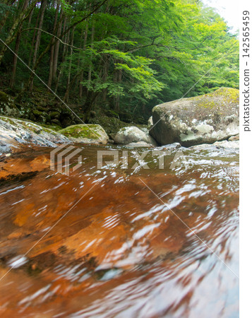 Clear streams and lush green valleys Clear streams and lush green valleys 142565459