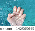 雙手浸入水中 142565645