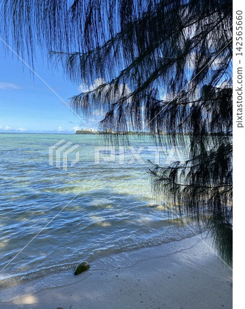 海灘圖片 海灘圖片 142565660