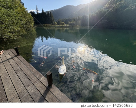 漂浮在湖的小船 漂浮在湖的小船 142565683