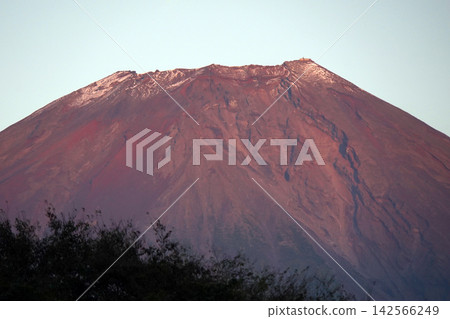 清晨的陽光照耀下,富士山頂峰景色優美。 清晨的陽光照耀下,富士山頂峰景色優美。 142566249