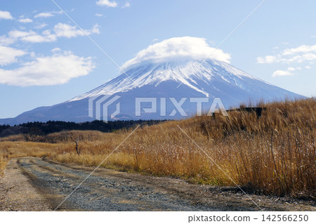 白雪皚皚的富士山,山頂上懸掛著一團莢狀雲。 白雪皚皚的富士山,山頂上懸掛著一團莢狀雲。 142566250
