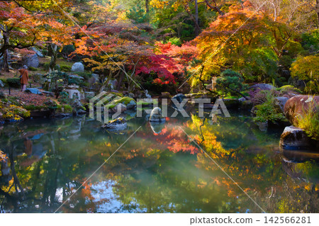 A famous spot for autumn foliage: Tokumeien Garden (Takasaki City, Gunma Prefecture) A famous spot for autumn foliage: Tokumeien Garden (Takasaki City, Gunma Prefecture) 142566281
