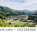 世界遺產白川鄉迎來了萬物復甦的季節。 142566466