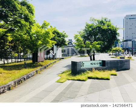 Toyama Castle, Castle Ruins Park: A beautiful spring park with lush greenery, Japan Toyama Castle, Castle Ruins Park: A beautiful spring park with lush greenery, Japan 142566471