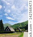白川鄉綠樹成蔭，合掌造房屋林立：世界遺產 142566473