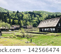 白川鄉：合掌造和茅草屋，世界遺產 142566474