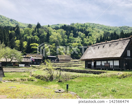 Shirakawa-go: Gassho-zukuri and thatched roof houses, a World Heritage Site Shirakawa-go: Gassho-zukuri and thatched roof houses, a World Heritage Site 142566474
