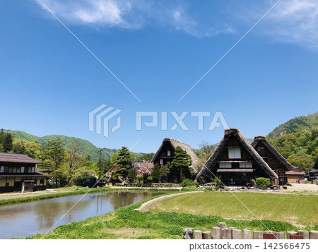 Rice paddies of Shirakawa-go, a World Heritage Site Rice paddies of Shirakawa-go, a World Heritage Site 142566475
